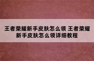 王者荣耀新手皮肤怎么领 王者荣耀新手皮肤怎么领详细教程